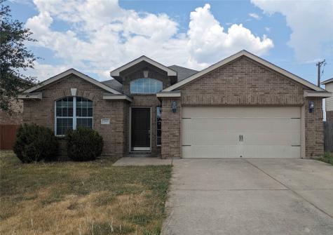 316 Meadow View Lane Anna TX 75409