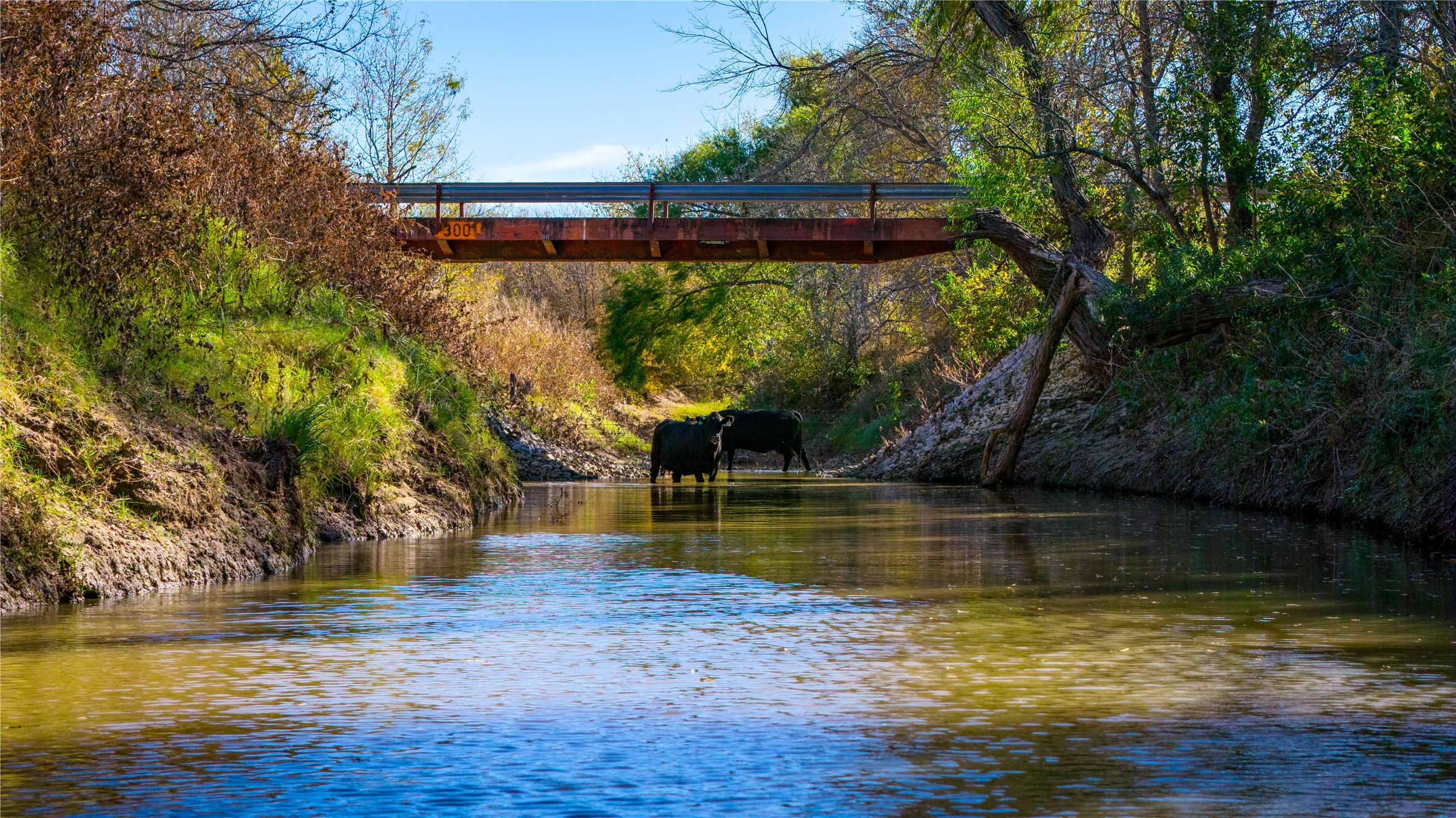 124 Private Road 3209 Bridgeport TX 76426