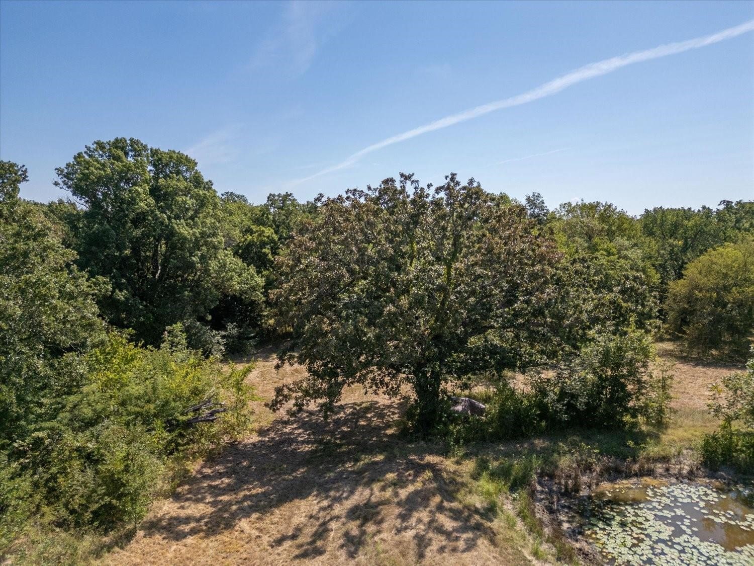 7513 Highway 34 Wolfe City TX 75496