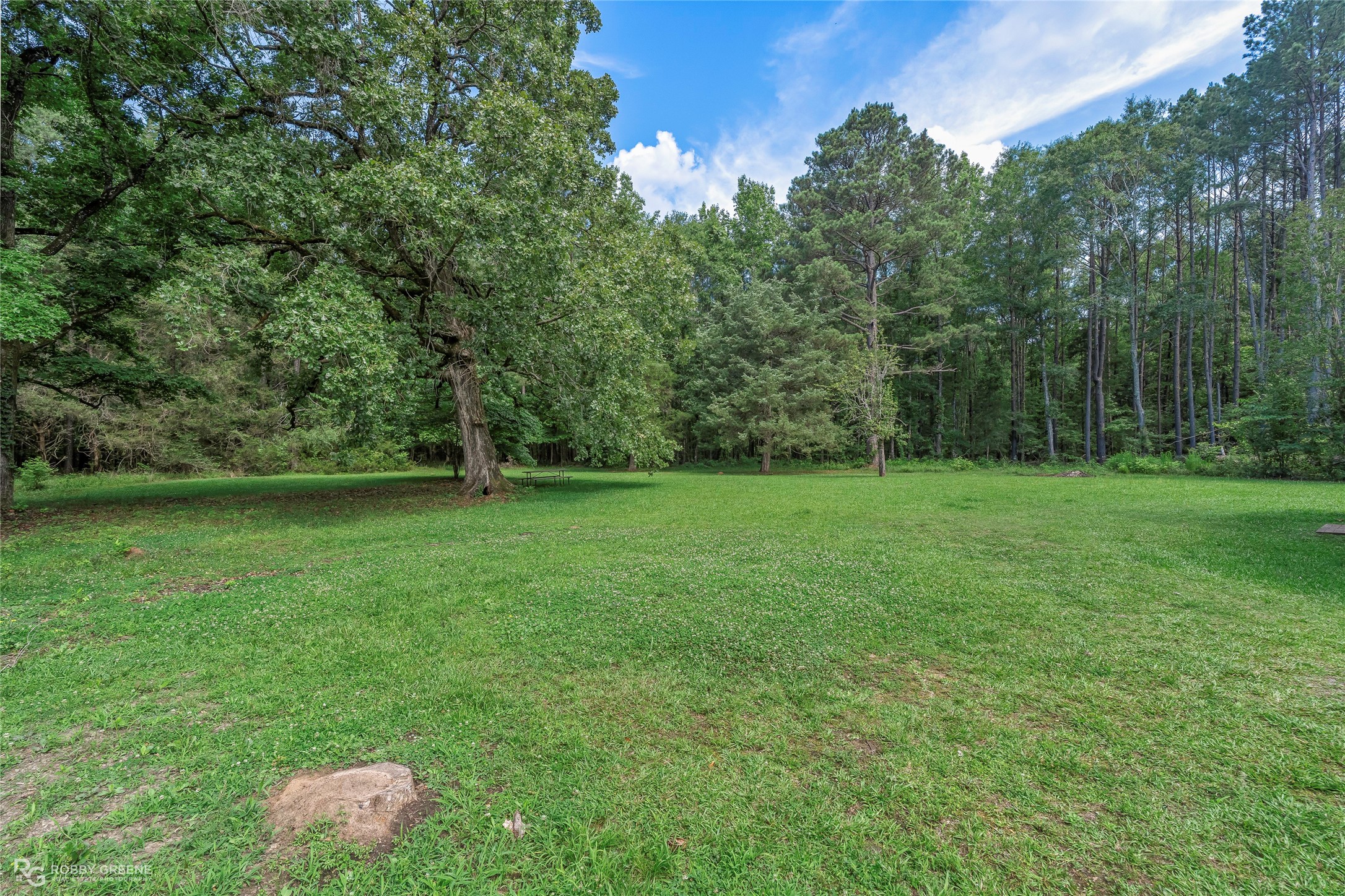 3307 Highway 521 Haynesville LA 71038