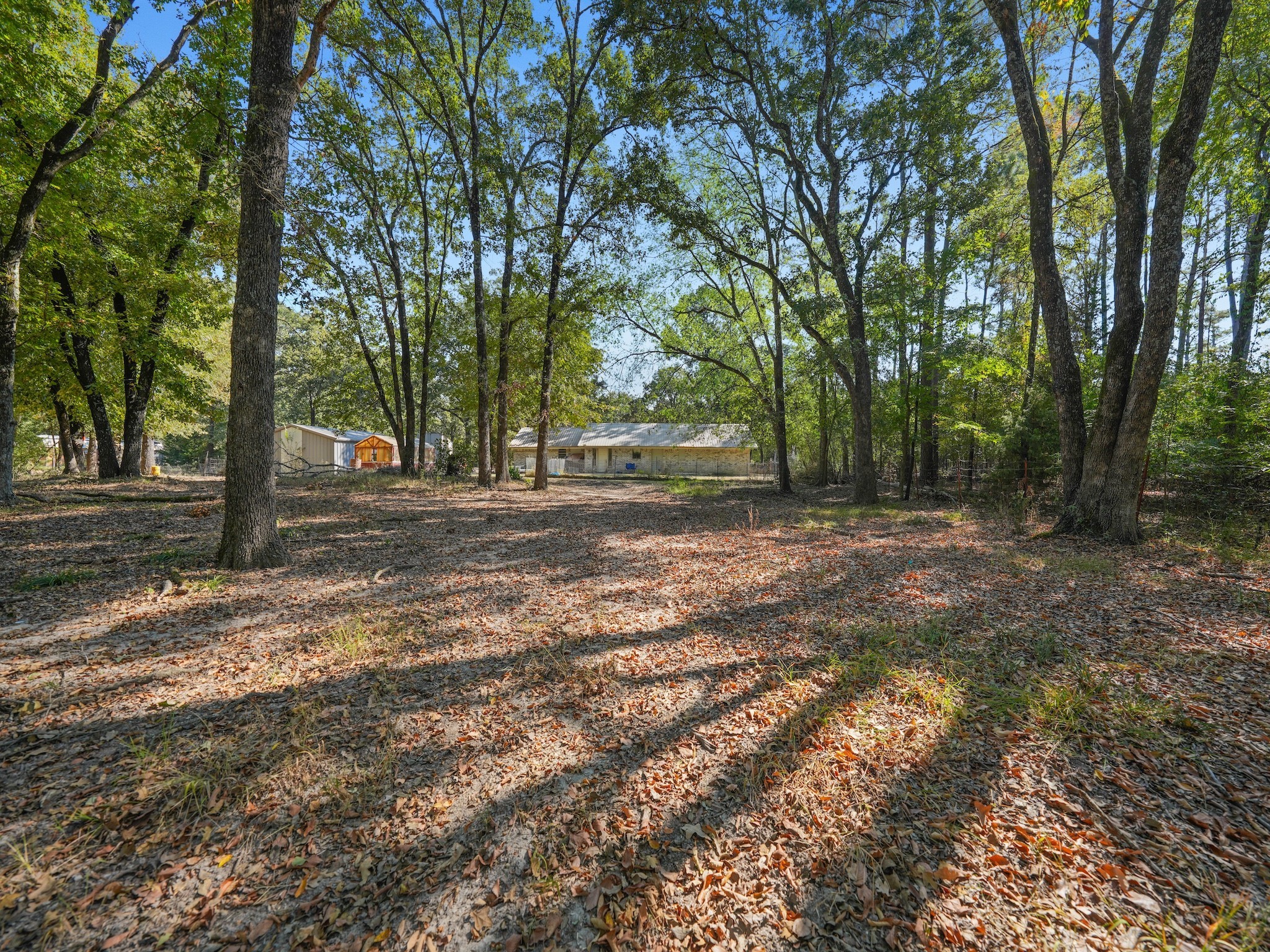 288 County Road 1858 Yantis TX 75497