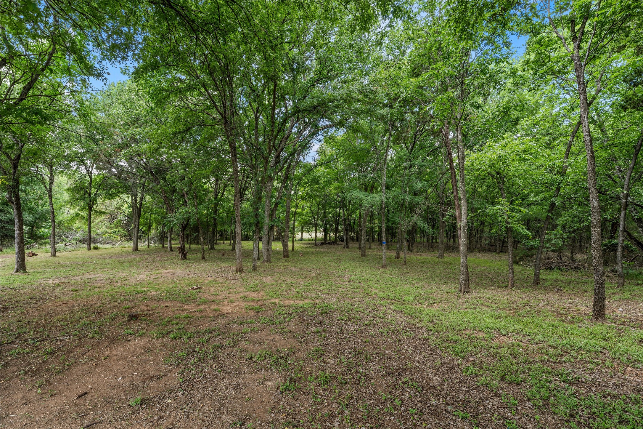 1561 Whitecrest Drive Whitney TX 76692