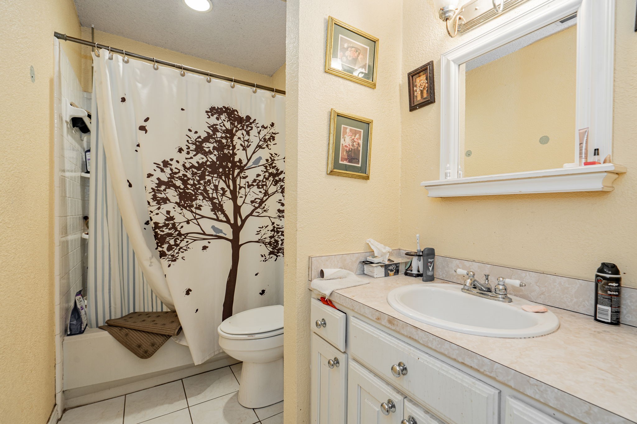 1802 Westgate Drive Terrell TX 75160