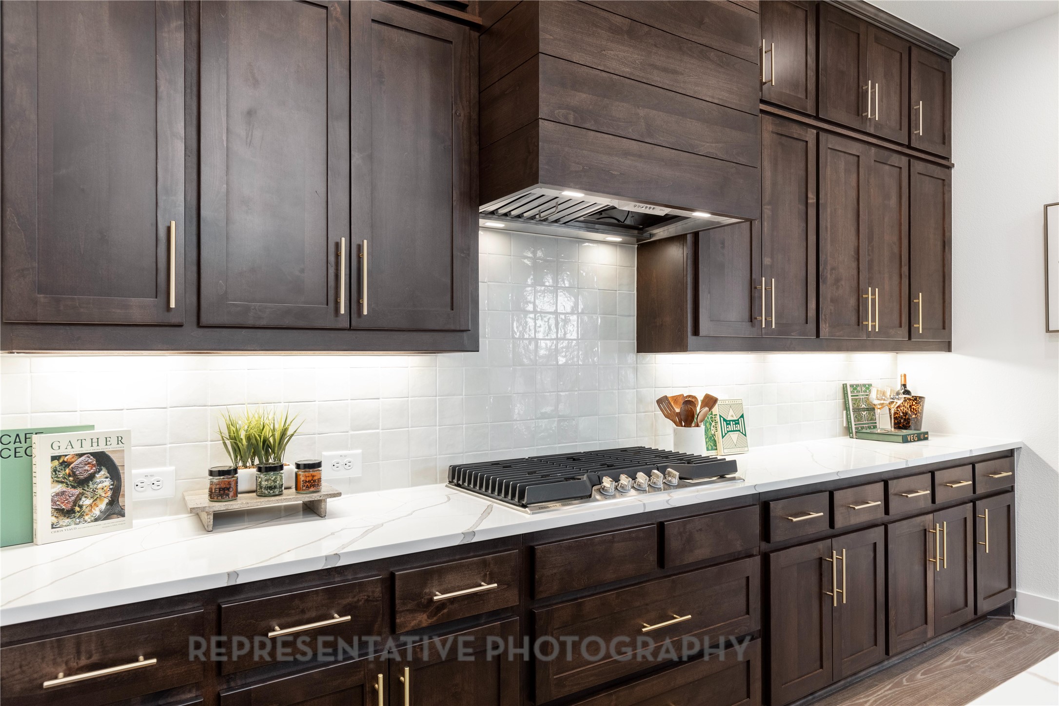 9909 Morning Cloak Drive Denton TX 76207