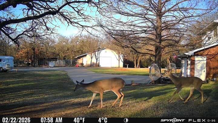 1155 Point Vista Road Hickory Creek TX 75065