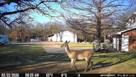 1155 Point Vista Road Hickory Creek TX 75065