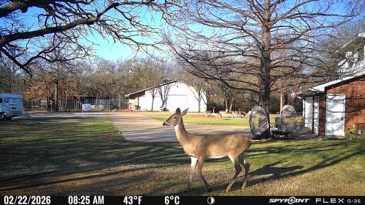 1155 Point Vista Road Hickory Creek TX 75065