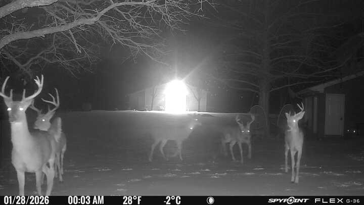 1155 Point Vista Road Hickory Creek TX 75065