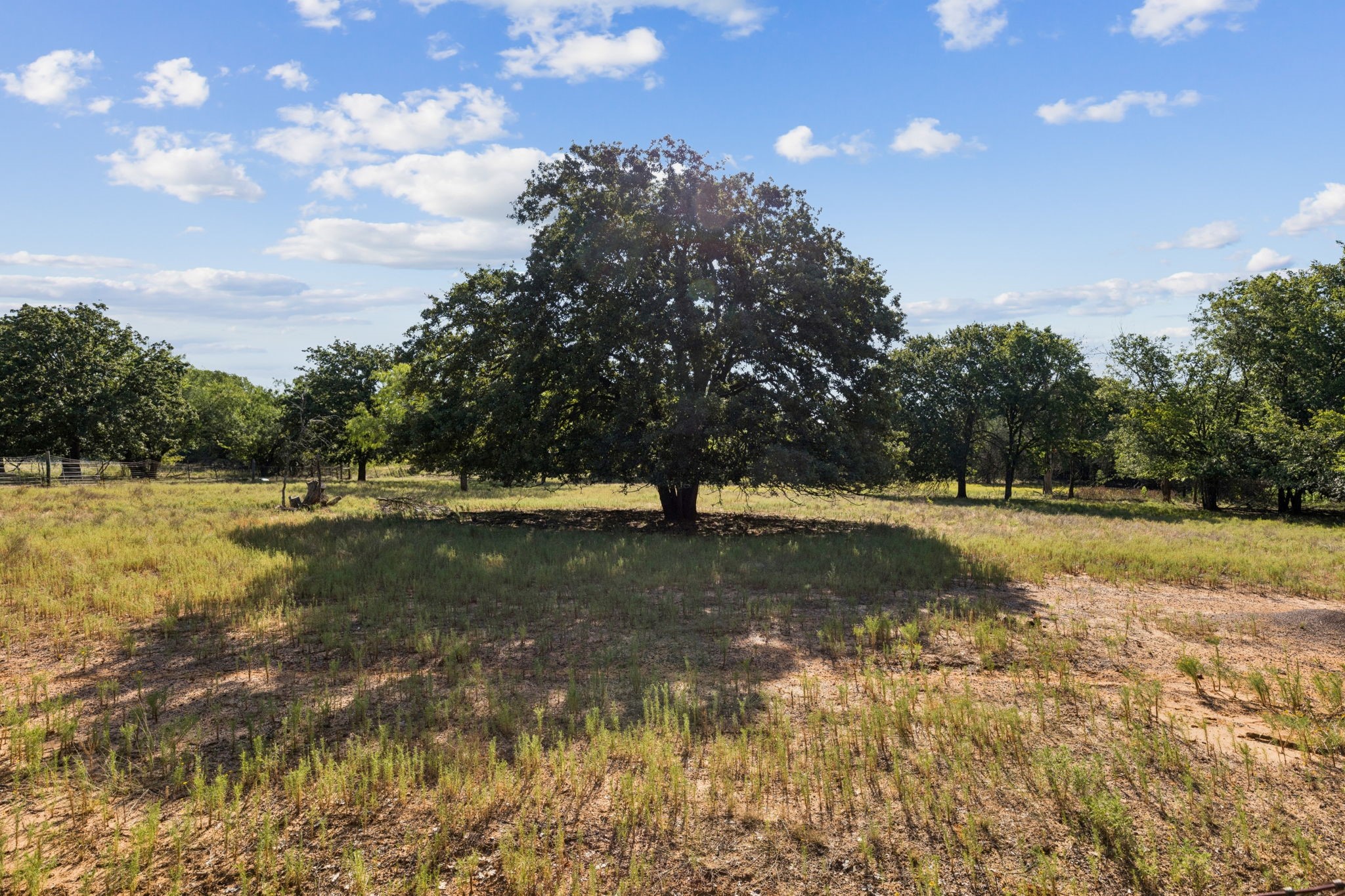 1155 Point Vista Road Hickory Creek TX 75065