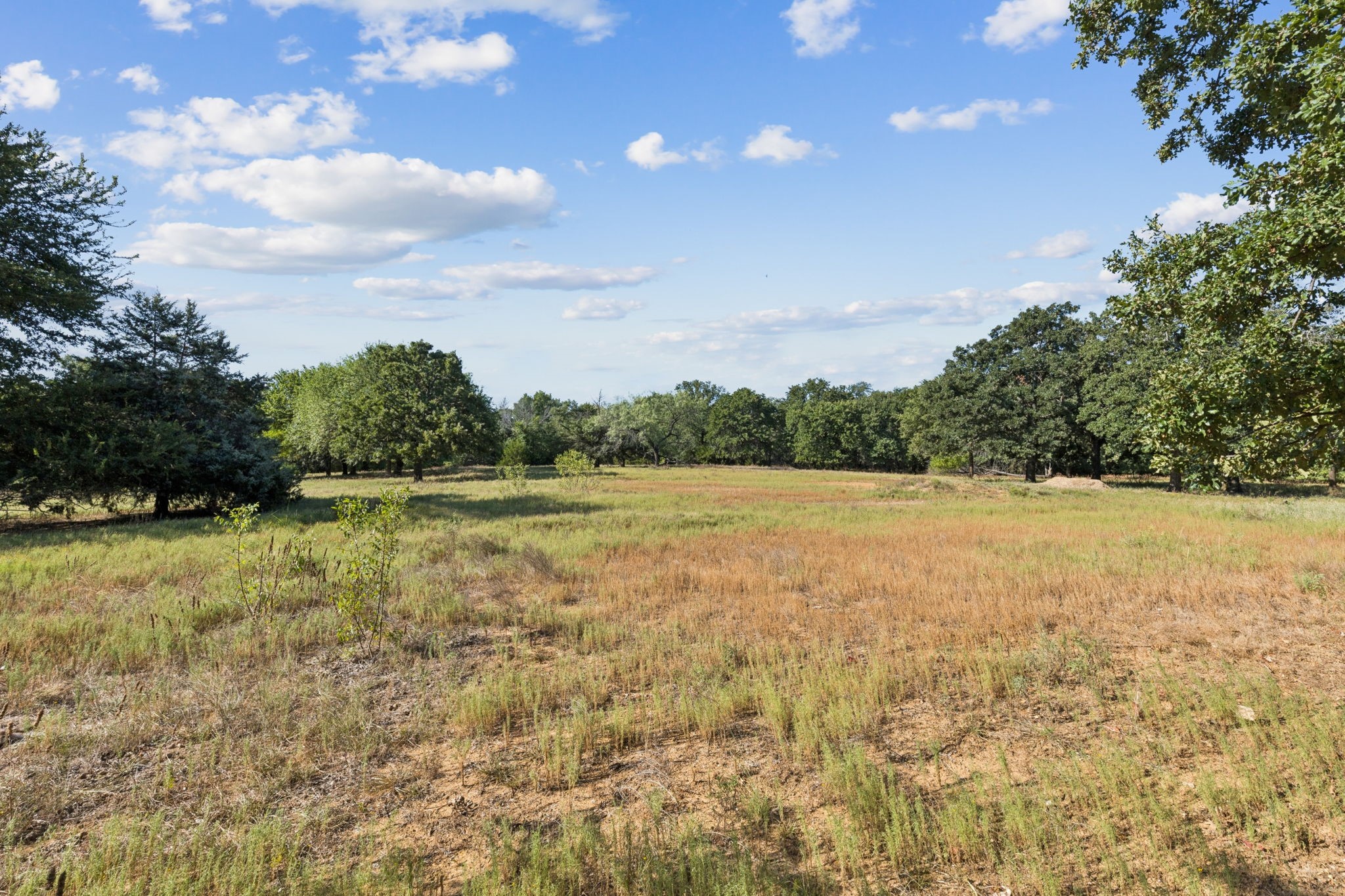 1155 Point Vista Road Hickory Creek TX 75065
