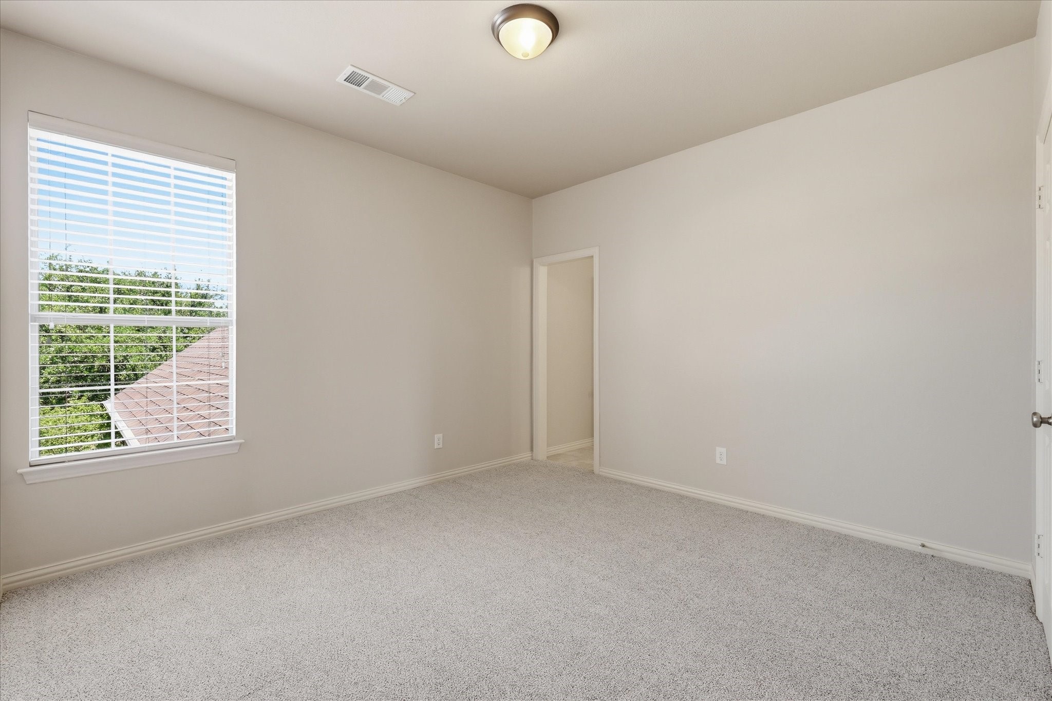 1731 Meadows Avenue Lantana TX 76226