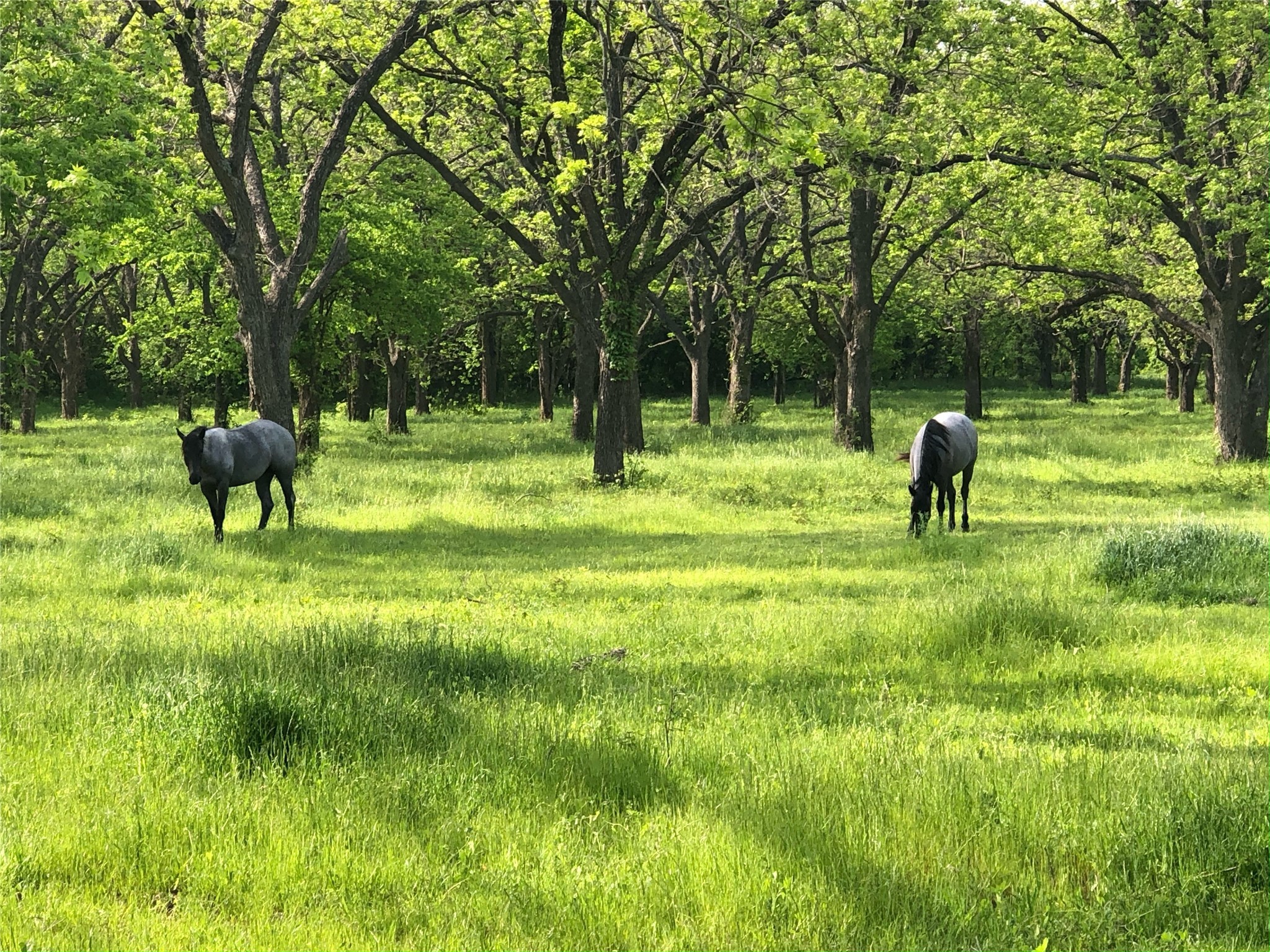 11320 County Road 528 Mansfield TX 76063