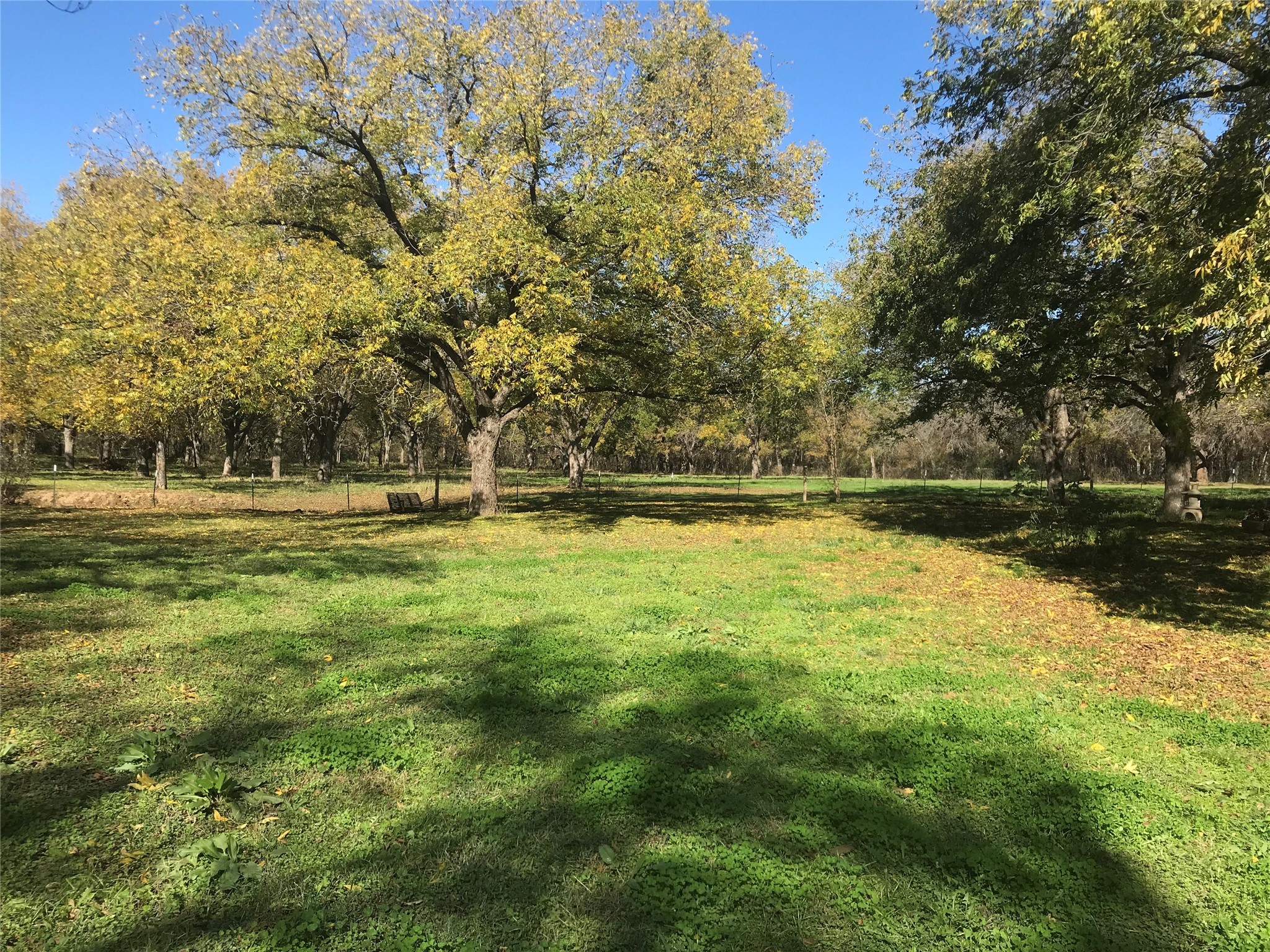 11320 County Road 528 Mansfield TX 76063