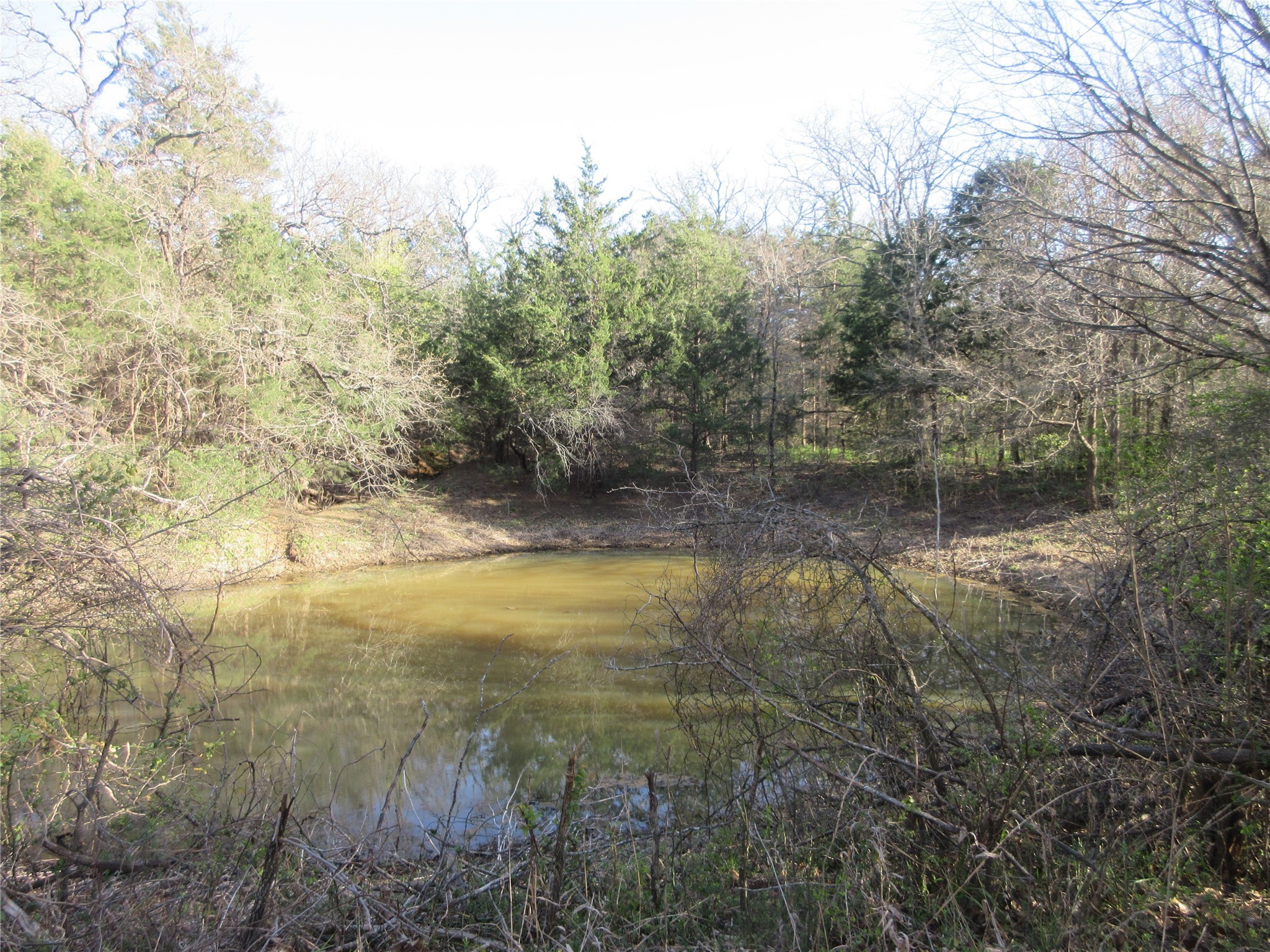 11320 County Road 528 Mansfield TX 76063