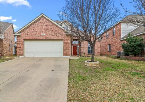 1511 Norway Pine Street Arlington TX 76012