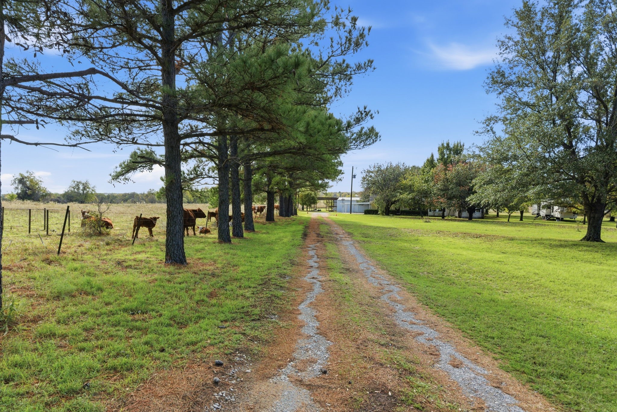 3420 Springfield Road Springtown TX 76082