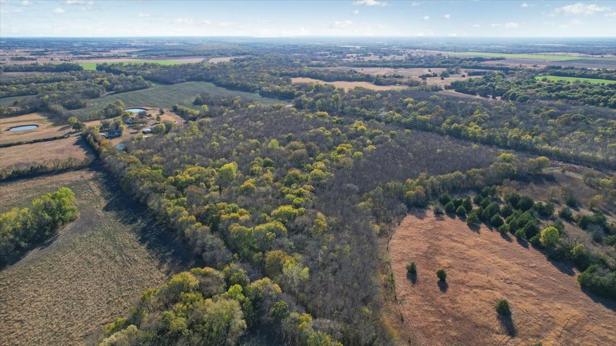 14951 County Road 622 Blue Ridge TX 75424
