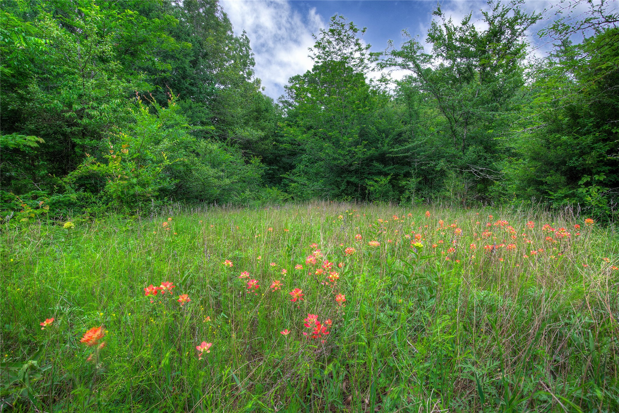 1774 County Road 3562 Dike TX 75437