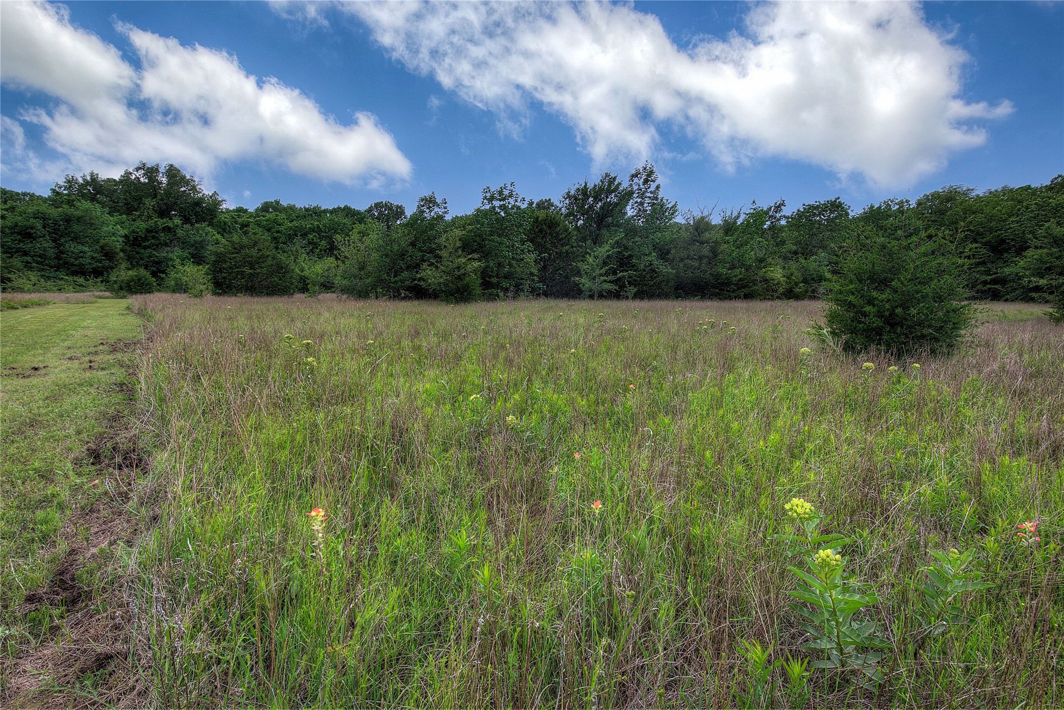 1774 County Road 3562 Dike TX 75437