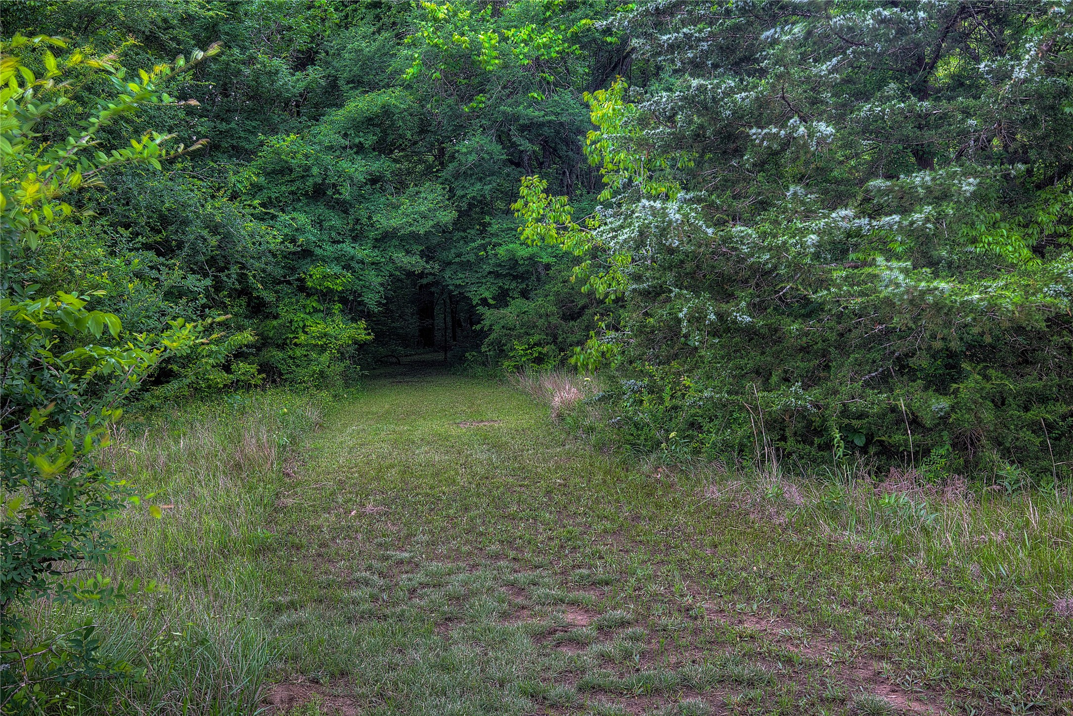 1774 County Road 3562 Dike TX 75437