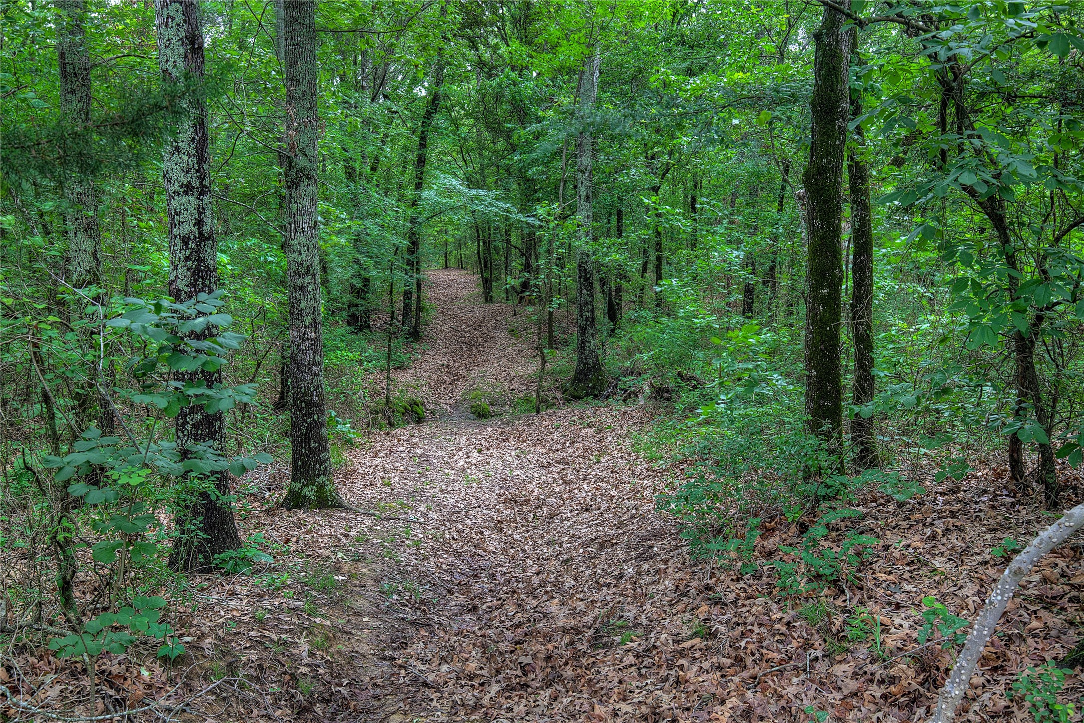 1774 County Road 3562 Dike TX 75437