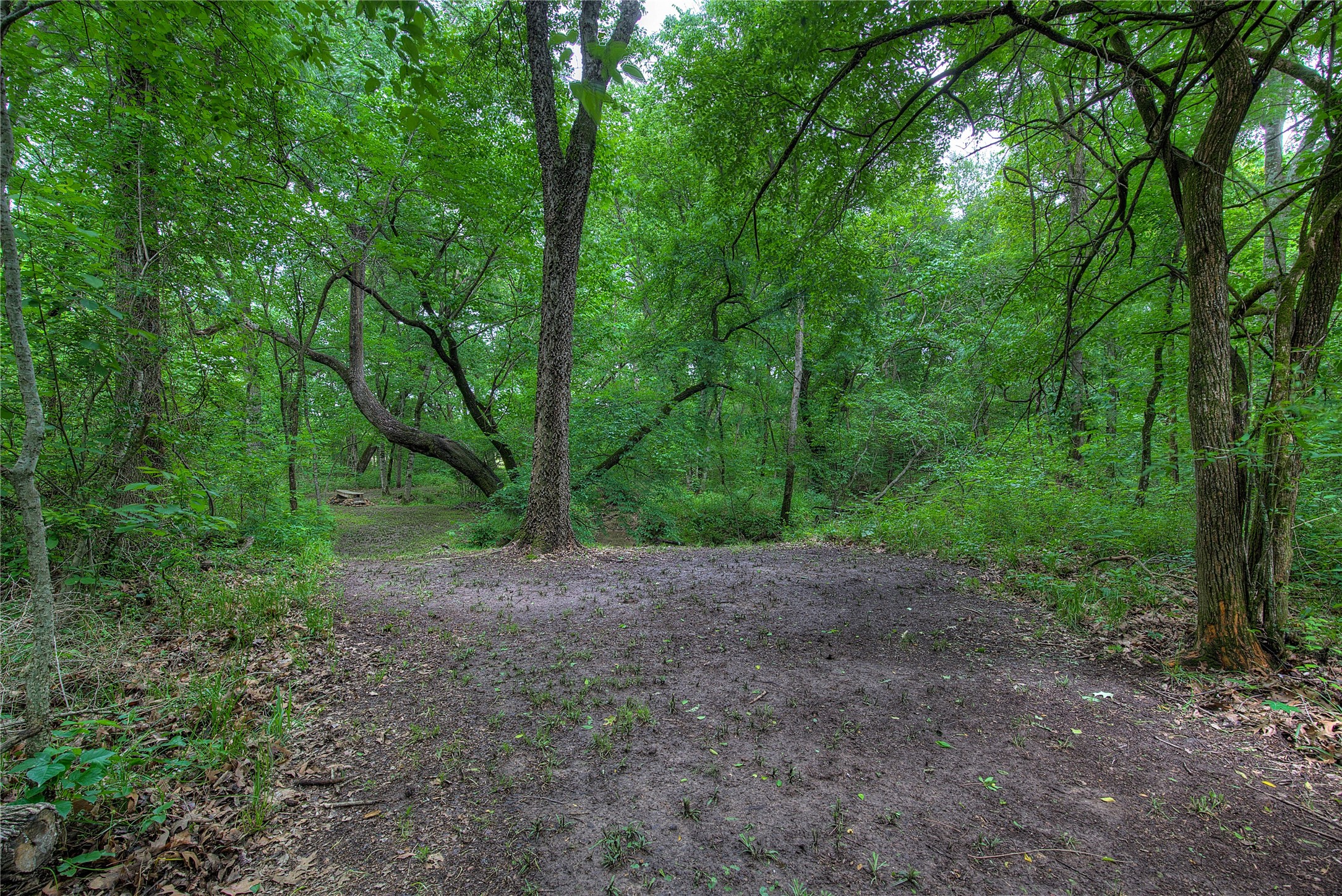 1774 County Road 3562 Dike TX 75437