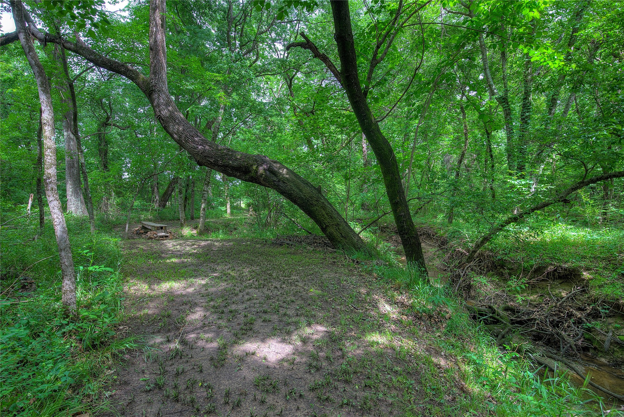 1774 County Road 3562 Dike TX 75437