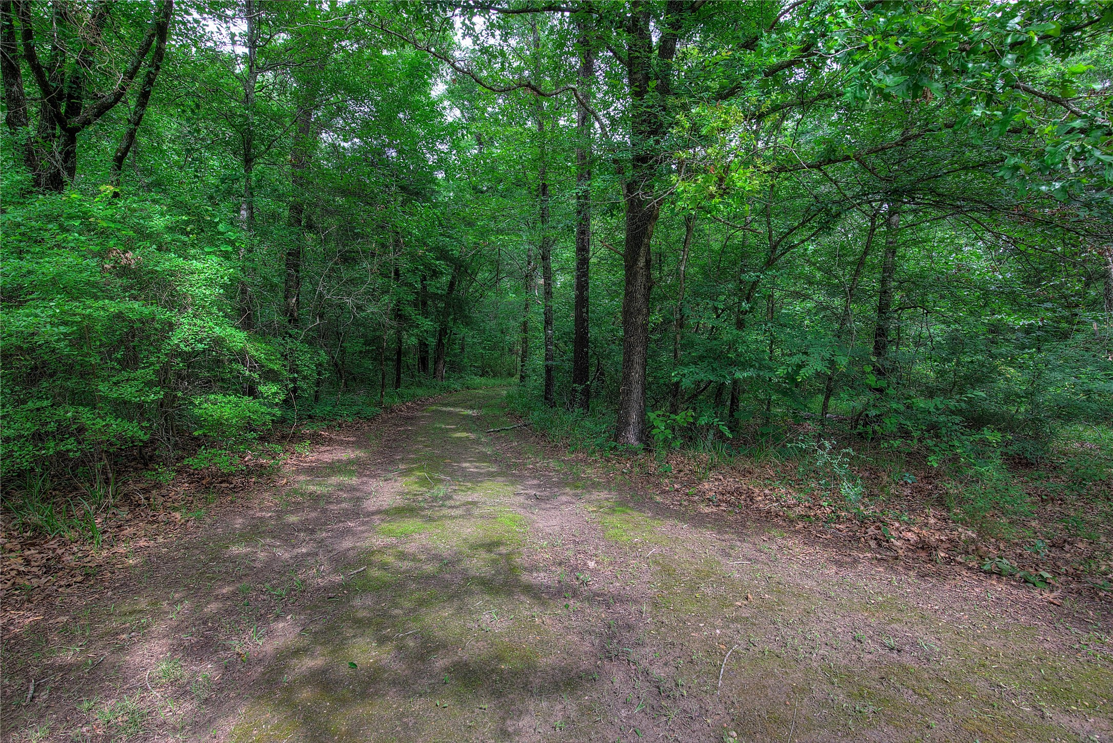 1774 County Road 3562 Dike TX 75437