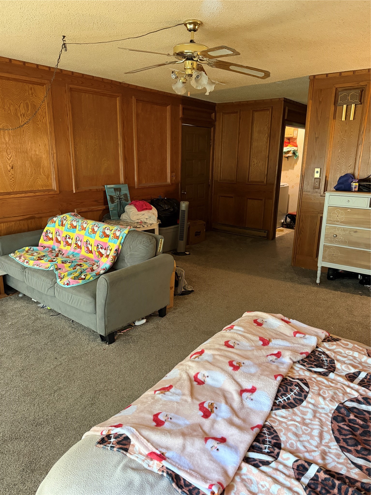 424 Vine Street Baird TX 79504