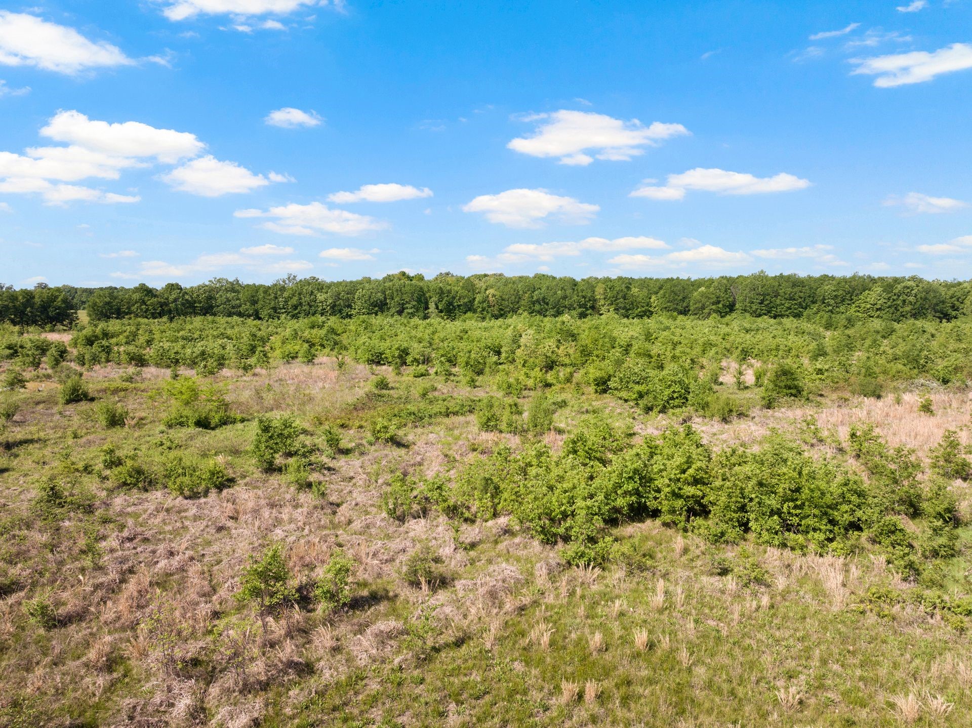2363 NW County Road 1050 Talco TX 75487