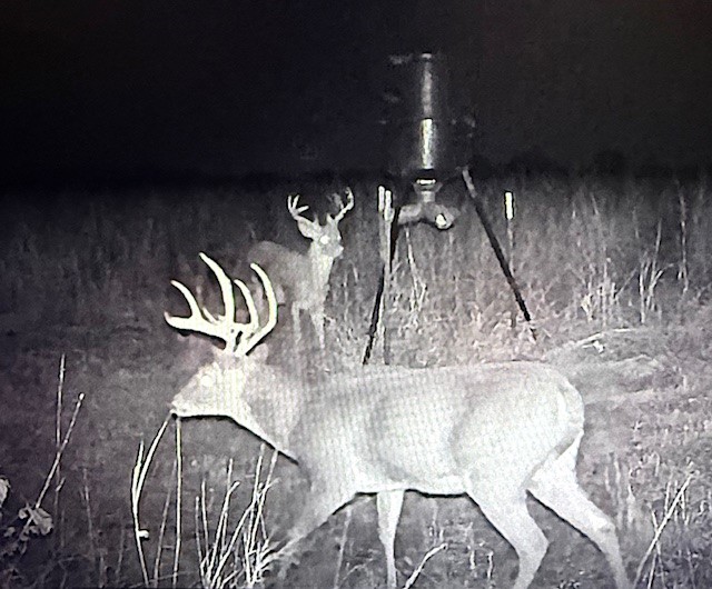 1044 County Road 3230 Windom TX 75492