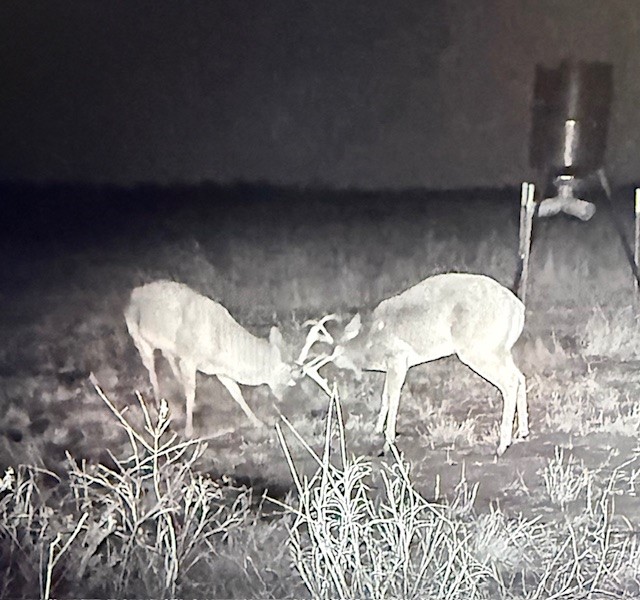 1044 County Road 3230 Windom TX 75492