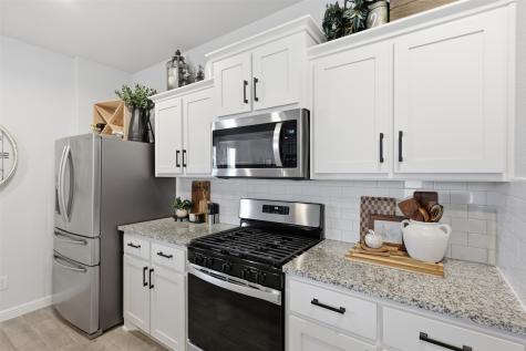 124 Orchard Pines Place Boyd TX 76023