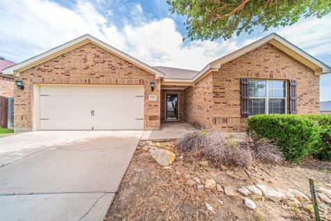 234 Dodge City Trail Newark TX 76071