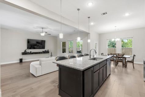 943 Richard Pittmon Drive Desoto TX 75115