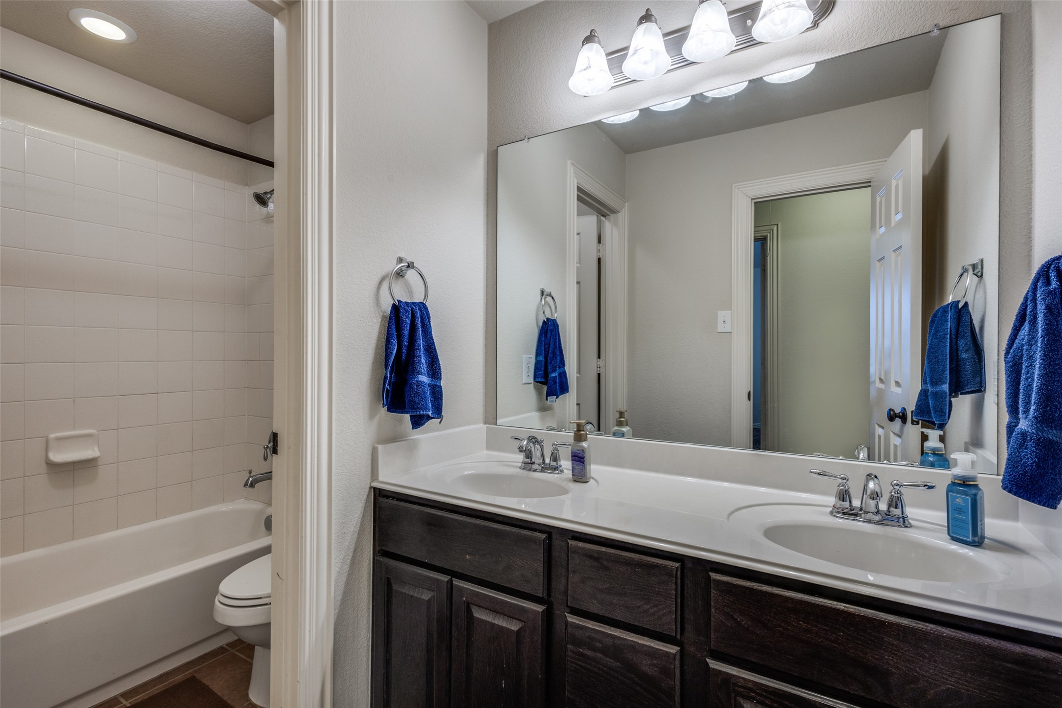 1213 Bittern Drive Little Elm TX 75068