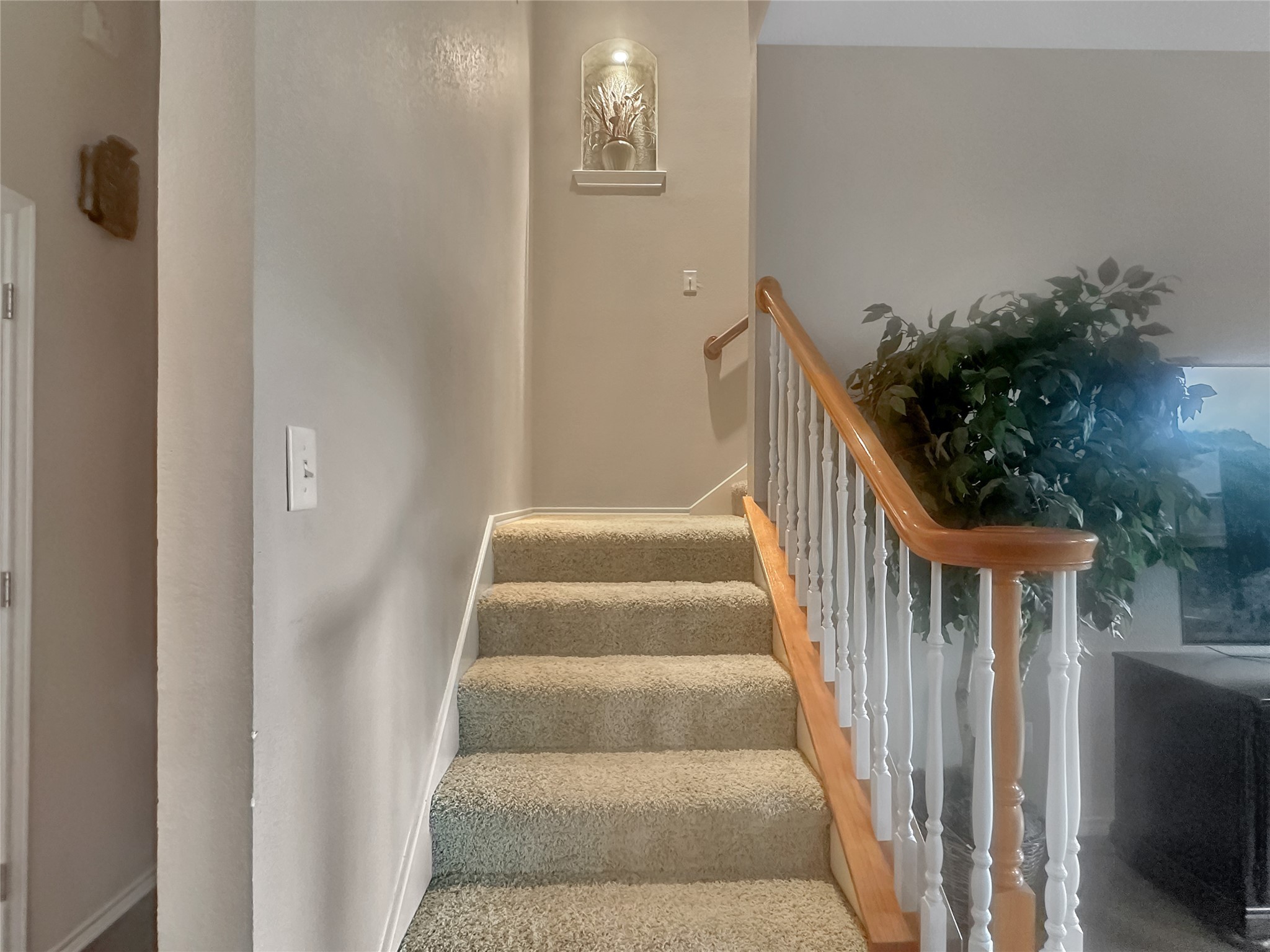 10717 Greenview Court Benbrook TX 76126