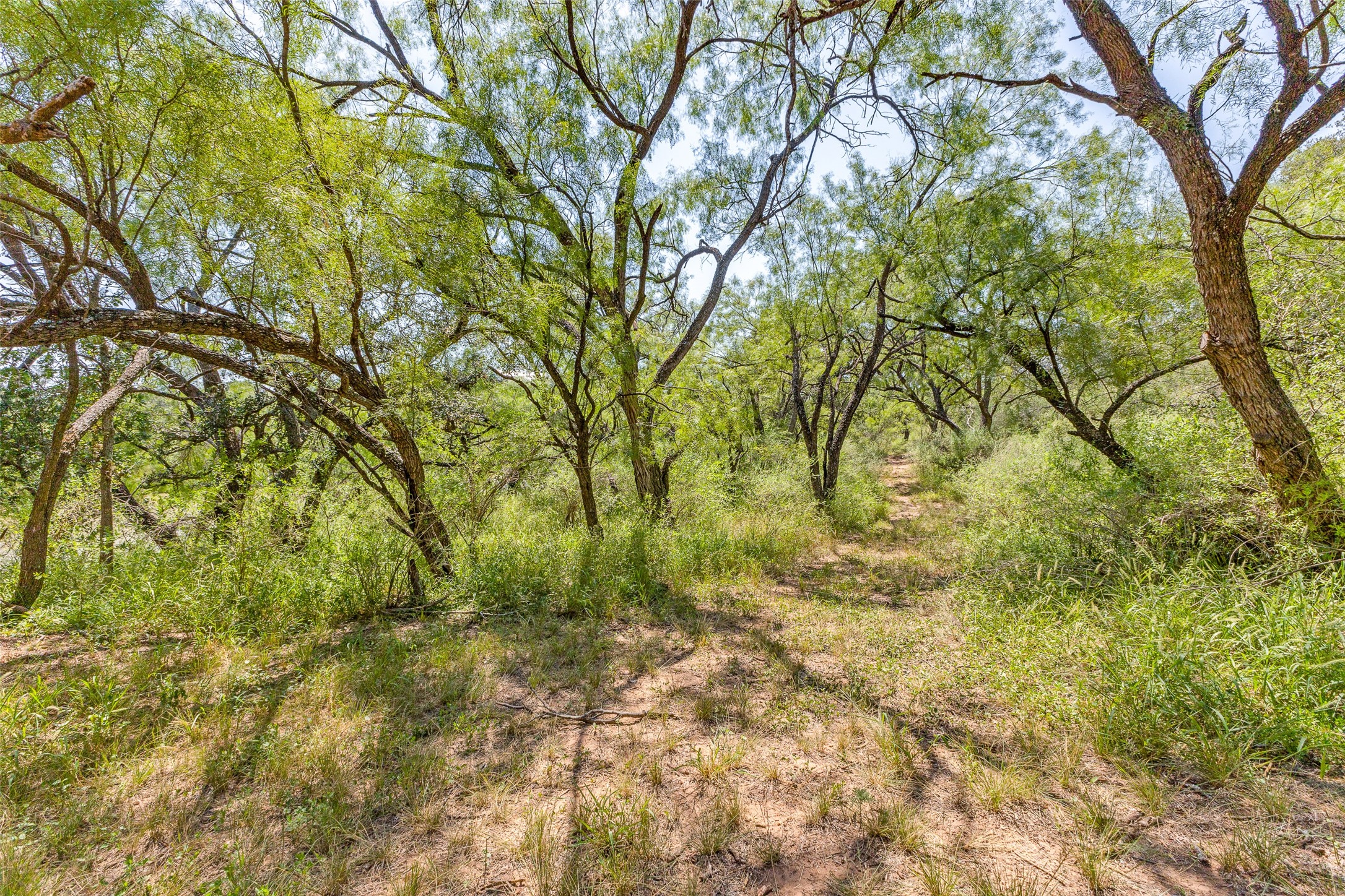 3638 County Road 312 Voss TX 76888