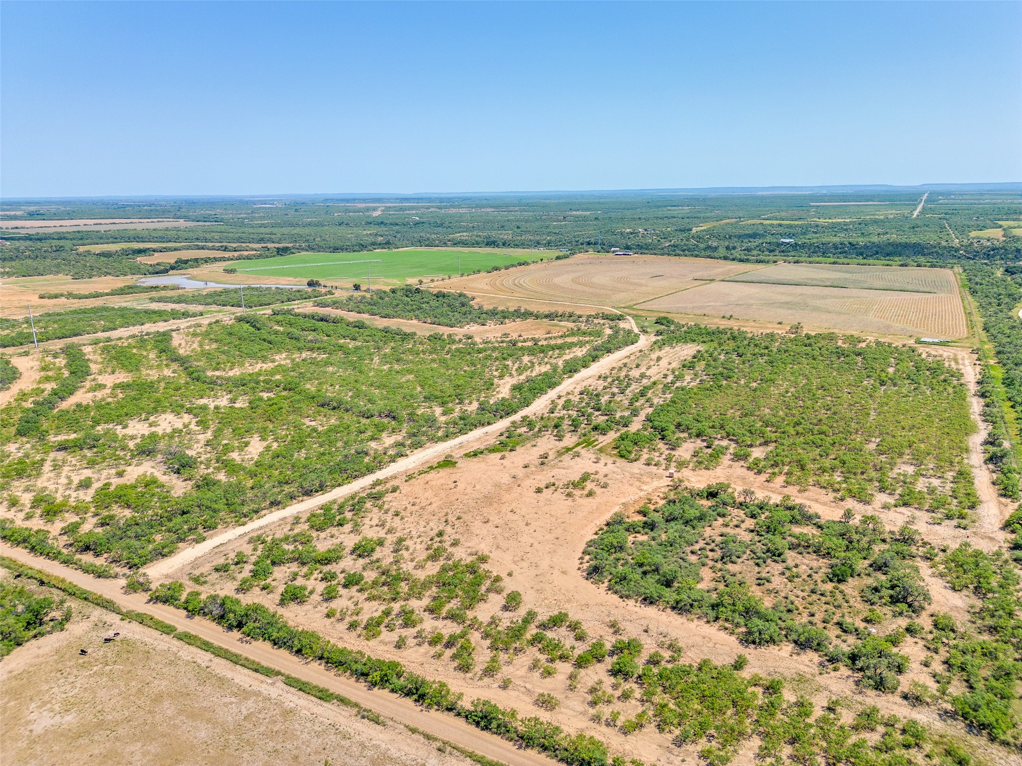 3638 County Road 312 Voss TX 76888