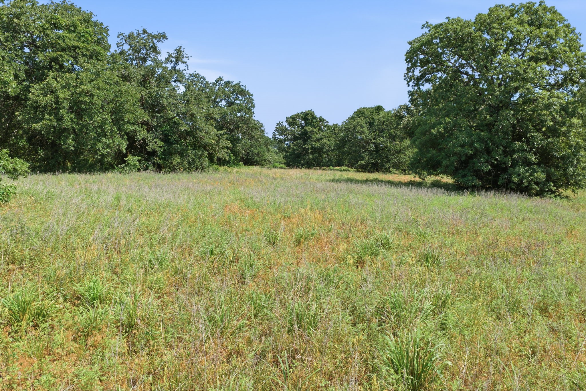 3523 E Highway 199 Springtown TX 76082
