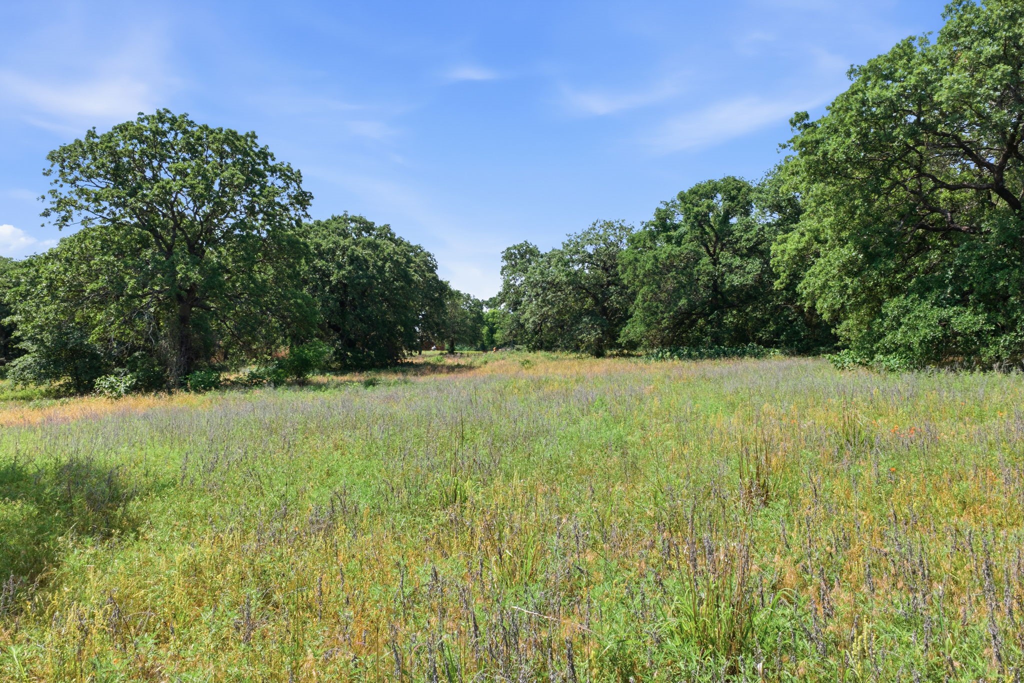 3523 E Highway 199 Springtown TX 76082
