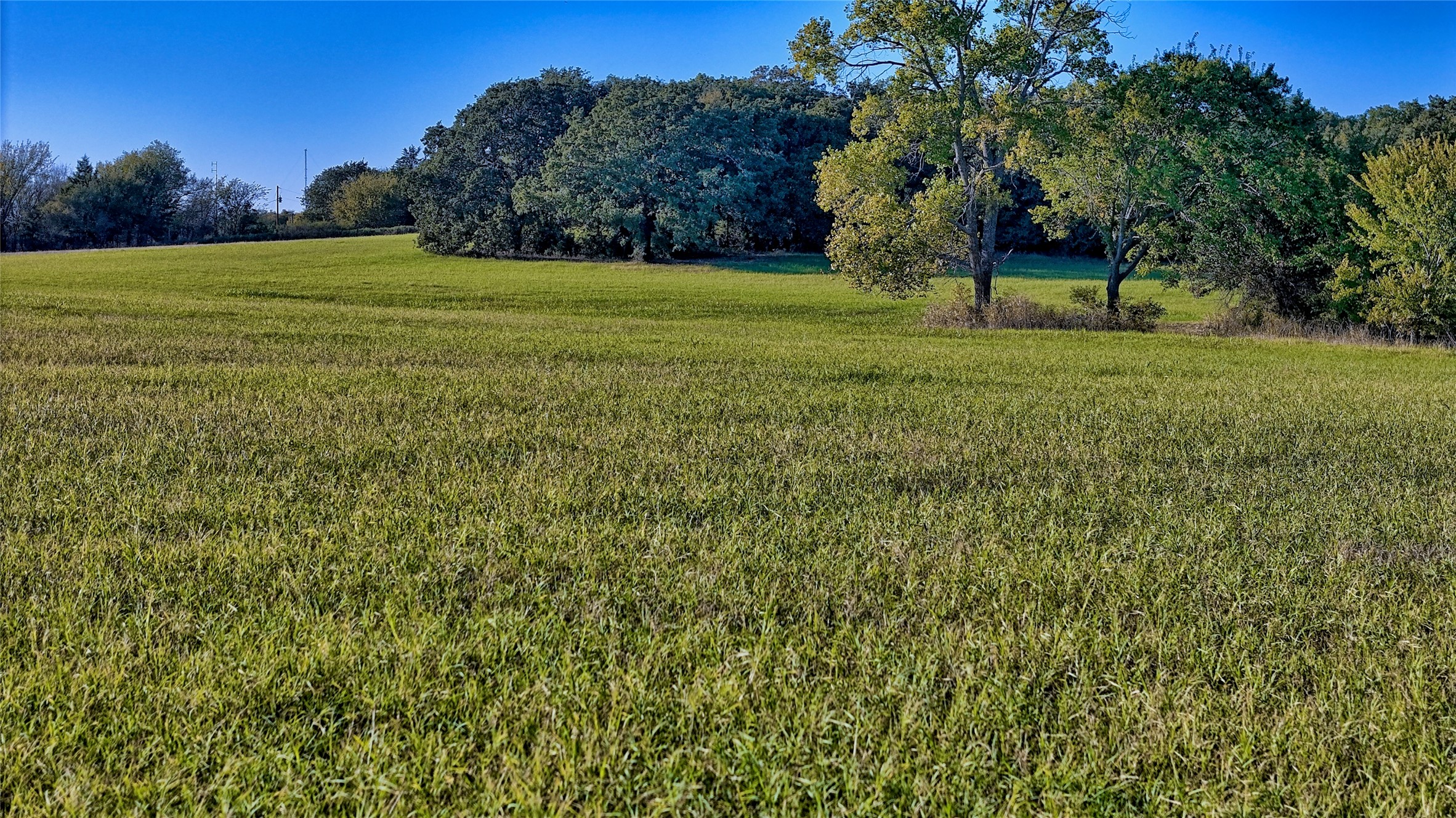 712 Front Street Sunset TX 76270