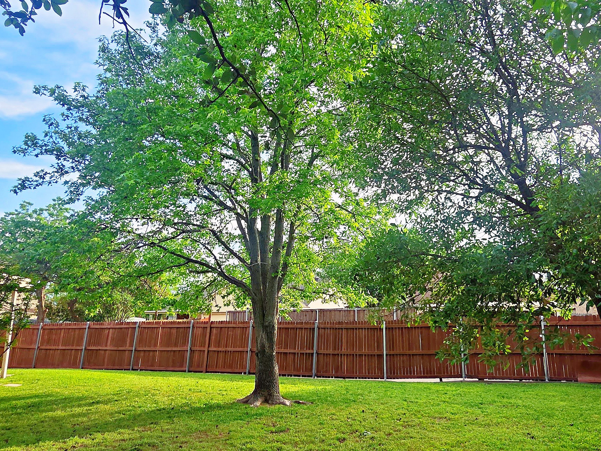 7124 Don Gomez Lane Garland TX 75043