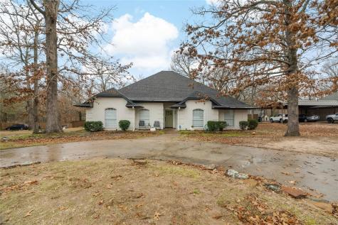 385 Timber Lakes Drive Powderly TX 75473