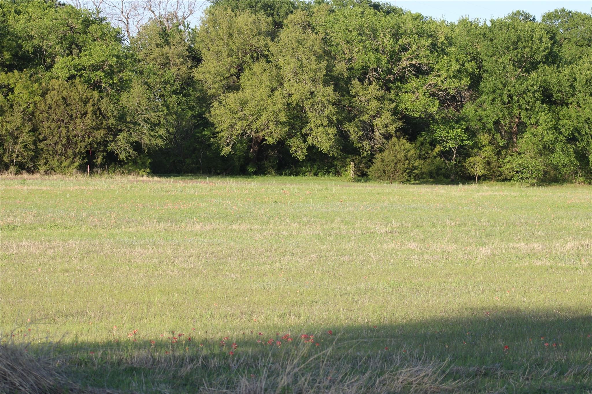 Lot 17 Waters Edge Lane Glen Rose TX 76043
