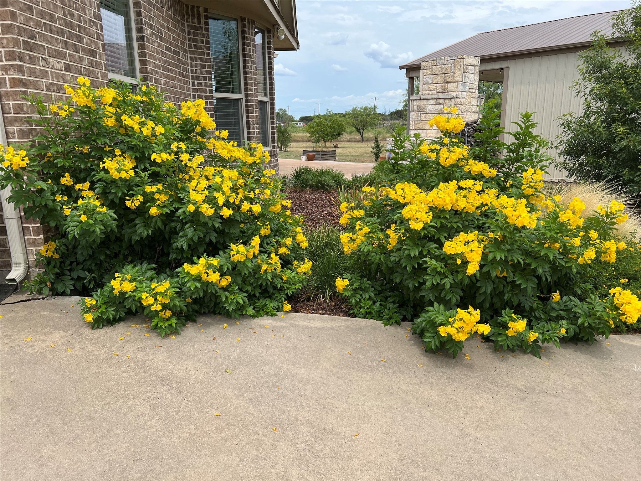 1101 S Clear Cove Court Possum Kingdom Lake TX 76449