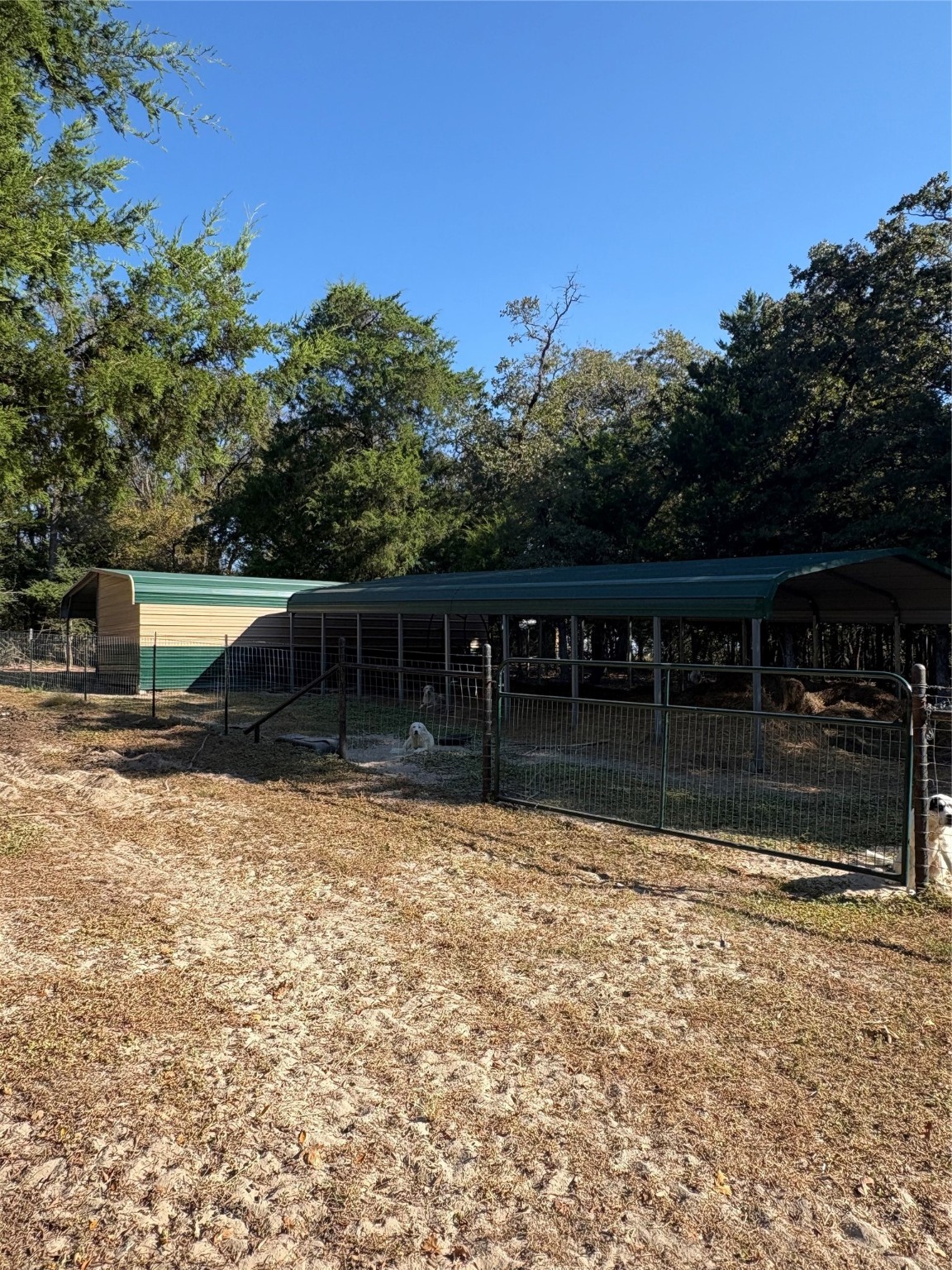 130 Private Road 5793b Groesbeck TX 76642
