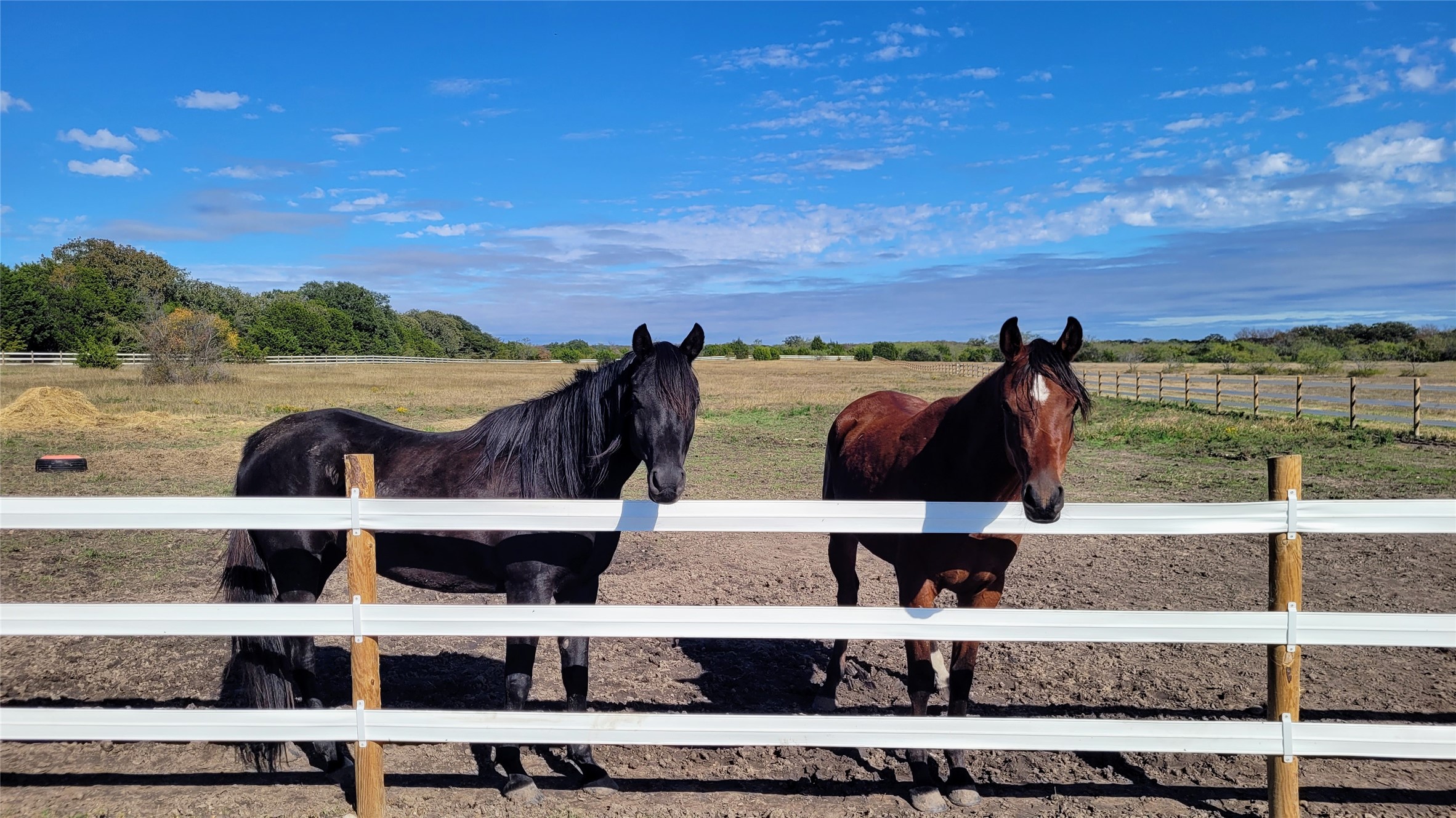 3164 Clater Powell Road Waco TX 76705