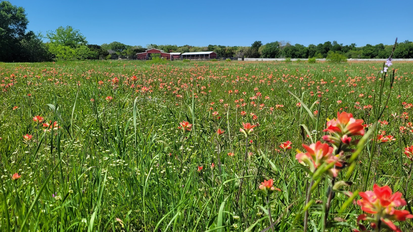 3164 Clater Powell Road Waco TX 76705