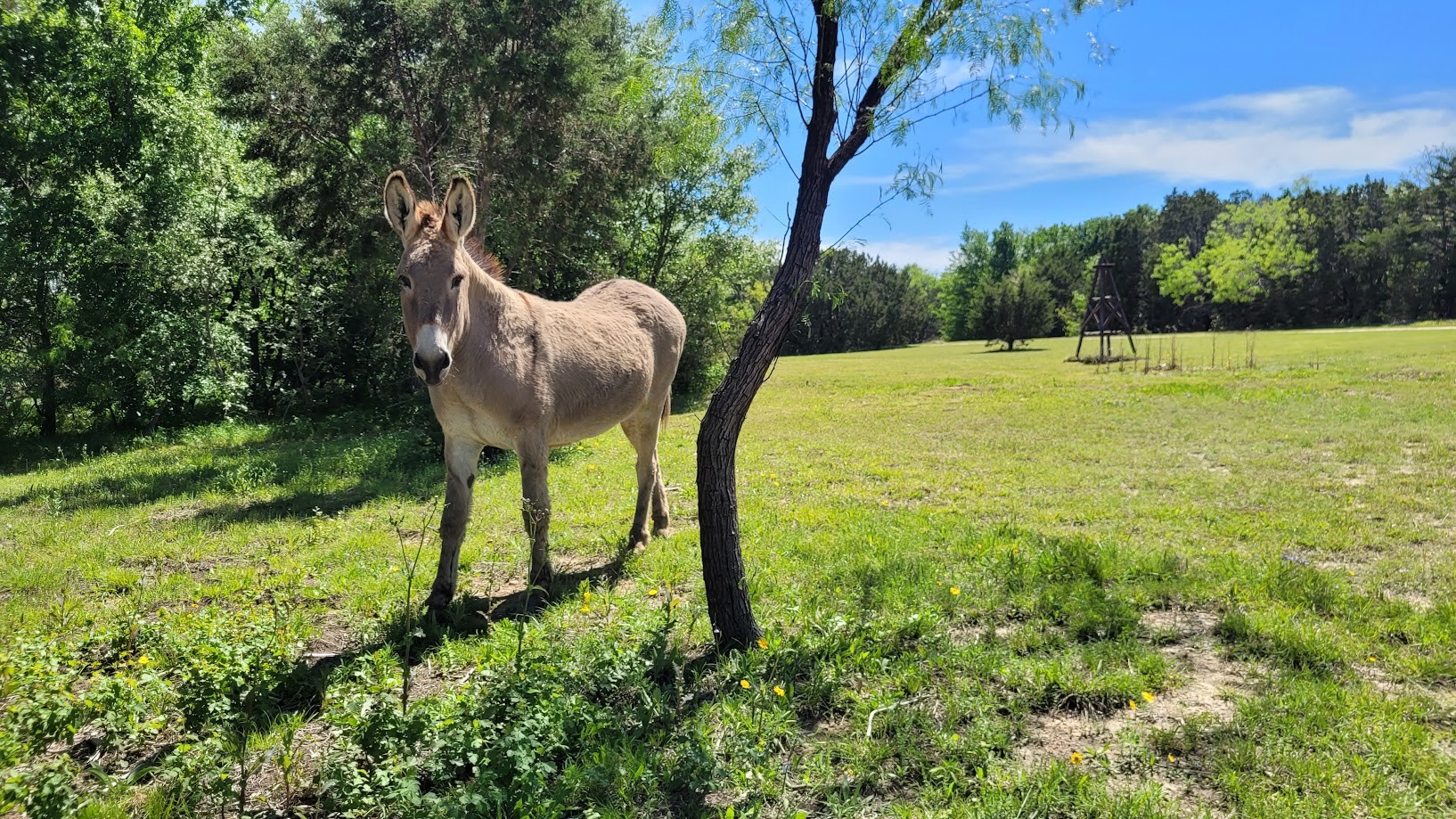 3164 Clater Powell Road Waco TX 76705